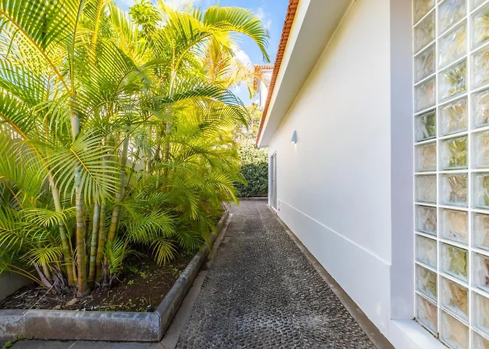 Casa Da Camélia Casa vacanze